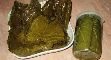 Recepty z konzervovaných hroznových listů dolma